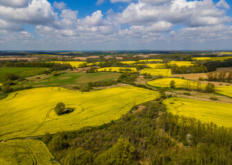 Radziszewo, zachodniopomorskie  Poland  05 may 2022 A landscape with rape. agricultural crop,...