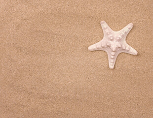 Summer sunny beach. Close up of starfish on the sand.