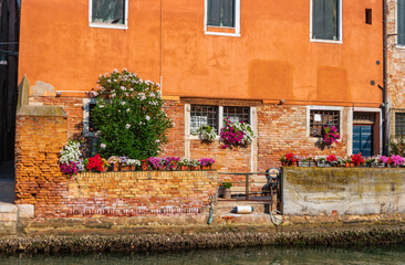 Fototapeta na wymiar Brick wall of an old Venetian house with flowers and plants. The residential area of Venice, Italy.