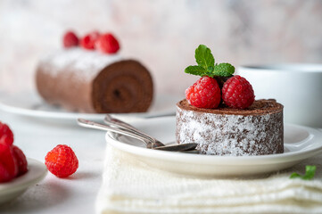 Slice of chocolate roll cake or swiss dessert cake with raspberries.