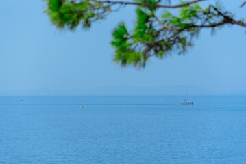 Naklejka na ściany i meble Summer scene with yacht and boats in the sea with defocused green pine tree in the foreground. Summer concept