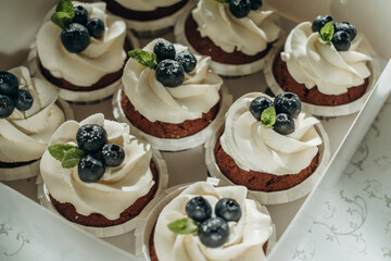 Chocolate cupcakes with cream and blueberries. Homemade chocolate muffins. The process of making homemade chocolate cupcakes with whipped cream.
