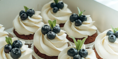 Chocolate cupcakes with cream and blueberries. Homemade chocolate muffins. The process of making homemade chocolate cupcakes with whipped cream.