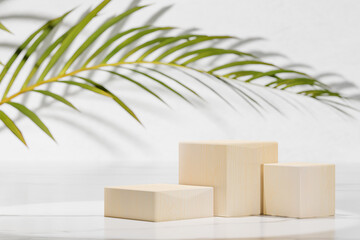Minimal product display. Modern showcase with three cube wooden podium with green palm leaf in...