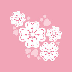 White sakura flower on pink background japanese style flat vector icon design.