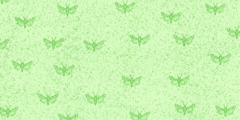 Tło z ćmami. © Hanna