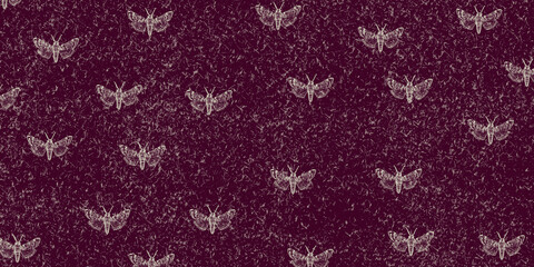 Tło z ćmami. © Hanna