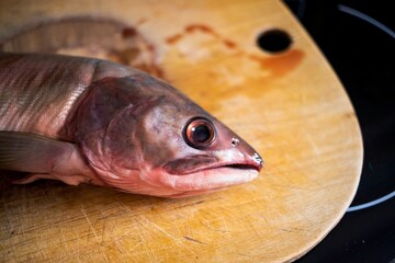 cut into pieces frozen salmon or salmon fish lies on a wooden board covered in blood head nearby