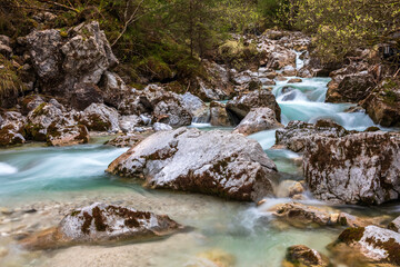 Im Zauberwald am Hintersee bei Ramsau, Berchtesgaden