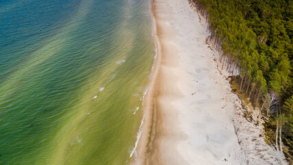 Top down view of the clear sea water and green forest. Sandy beach and coastline in a sunny day.