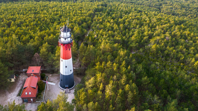 Top down view of the lighthouse surrounded by the green forest in a daylight.