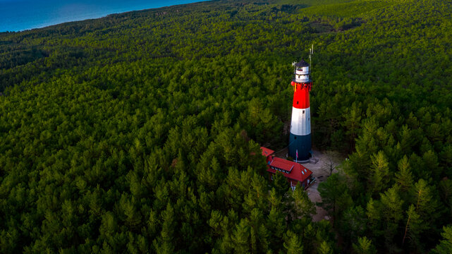 Bird's eye view of the lighthouse surrounded by the green forest in a daylight. Sea in the distance.