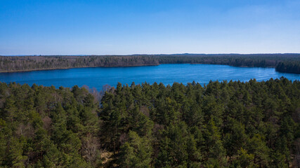 Aerial landscape of the lake surrounded by the forest. Clear blue sky and blue water.