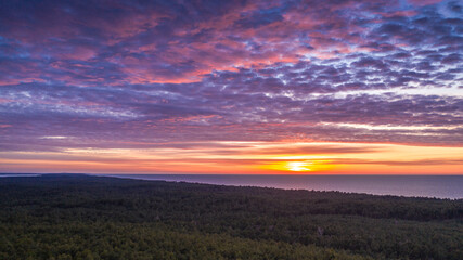 Beautiful sunset over green forest. Orange sun, pastel pink clouds, red sky.