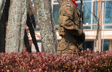 Polish army soldier standing at attention, holding a military rifle gun.