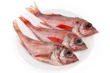 Raw carcasses of redfish on dish on a white background