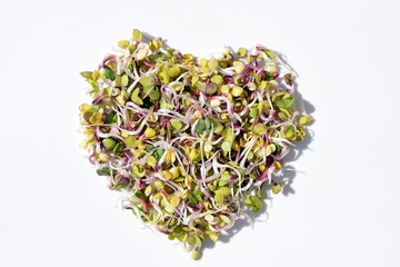 Fresh radish sprouts in a shape of heart, white background. Healthy eating concept