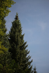 Fototapeta premium In the countryside around the tauber valley outside frankfurt in South Germany