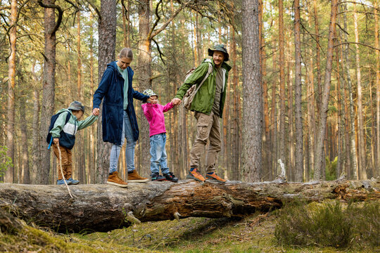 family with children walking on fallen tree in forest