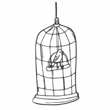 Doodle birdcage and bird. Doodle style sketch in vector