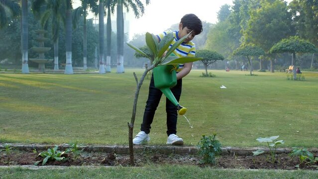 A small little school kid watering pants in the garden - green earth  pollution-free environment  go green. An adorable boy in casual clothes taking care of a plant - plant more trees  plantation  ...