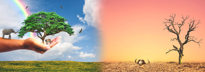 concept of environmental conservation and global climate change. Picture comparing arid areas with...