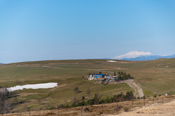 Obraz premium 春の美ヶ原高原 長野県