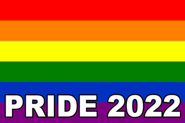 Pride 2022. LGBT flag. The LGBT pride flag or rainbow pride flag includes the flag of the lesbian, gay, bisexual, and transgender LGBT organization. Illustration. International LGBT Pride Day 2022.