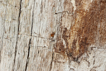 Nature in the garden late Autumn time creating interesting patterns, shapes, and movements