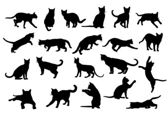 set of silhouettes of cats