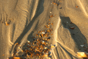 Late summer strolling over the sands on the beaches of Whitstable, Kent, UK taking in the sights...