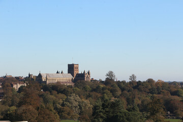 Obraz premium Strolling around a park in St Albans, Hertfordshire UK, seeing all the petrified trees and views to the majestic medieval cathedral.