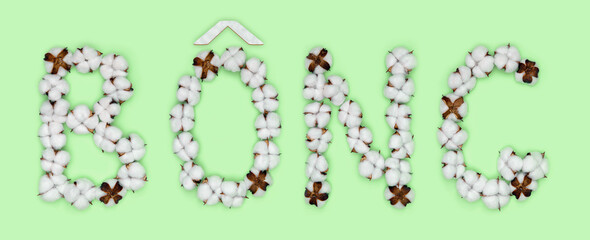 Word bong from Vietnamese language means cotton, made of cotton flowers. Concept of organic raw material.