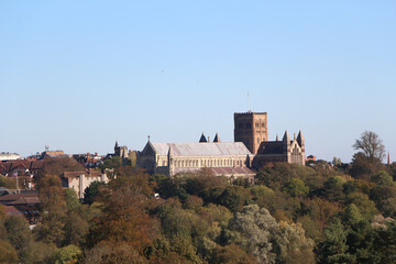 Strolling around a park in St Albans, Hertfordshire UK, seeing all the petrified trees and views to the majestic medieval cathedral.