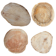 A close-up set of cross-cutting trees. The texture is sawn wood on a white background. Isolate.