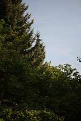 In the countryside around the tauber valley outside frankfurt in South Germany