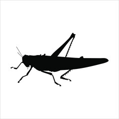 Silhouette of Grasshoppers for Logo or Graphic Design Element. Vector Illustration 