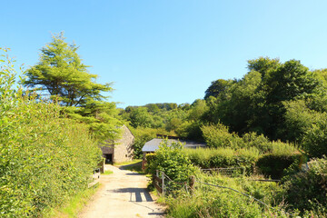 Basking under the summer sun in North Devon