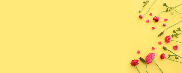 Top view image of pink flowers composition over yellow background
