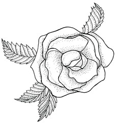Black and white image of a rose bud vector. Hand drawn flower head. Storytelling and tattoo. Design element and print. Monochrome doodle art