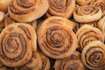 Cinnamon rolls and stuffed tubes lie on a plate. Homemade baking.