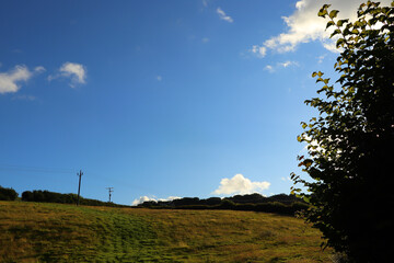 Basking under the summer sun in North Devon