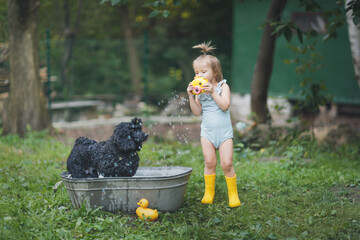 black poodle bathes in tub in backyard and child with soap bubbles