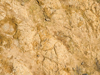 Dry light brown mountain soil. Dried dirt. Background and texture. Abstract. Sample. Place for text. Copy space.