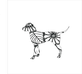 Dog Mandala  stylized, Animal Mandala coloring page, vector illustration. Lace, Zen art .Siberian husky dog stylized, Dog vector, t shirt designs freehand pencil, pattern. Zen art. Black and white