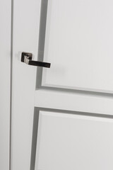 Modern chrome door handle on white bright door