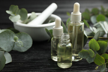 Bottles of eucalyptus essential oil and plant branches on black wooden table. Space for text