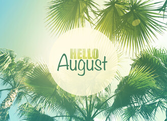 Hello August. Beautiful view of palm trees on sunny day - obrazy, fototapety, plakaty