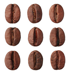 Set with aromatic roasted coffee beans on white background