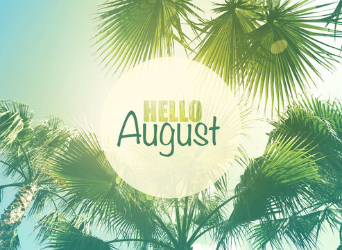 Hello August. Beautiful view of palm trees on sunny day